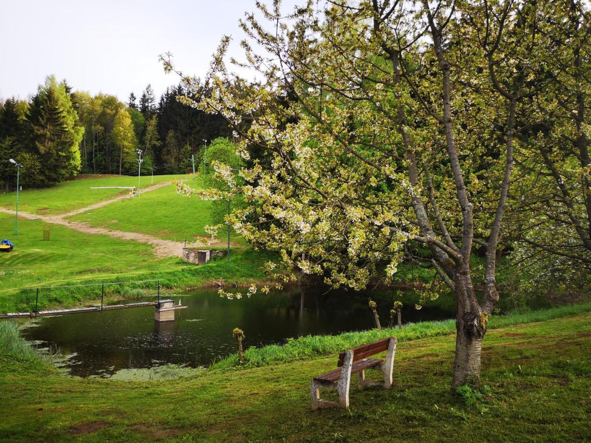 Srub Na Svahu Sjezdovky V Radvanicich Villa Radvanice  Exteriör bild