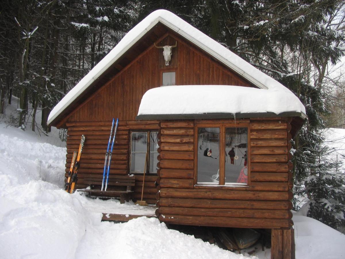 Srub Na Svahu Sjezdovky V Radvanicich Villa Radvanice  Exteriör bild